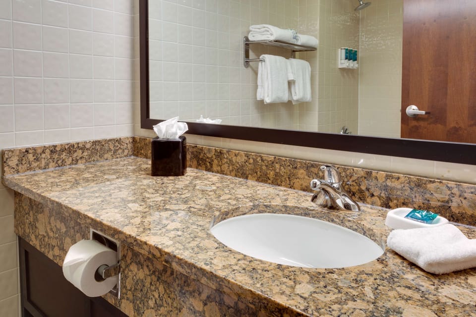 Combined shower/tub, free toiletries, hair dryer, towels