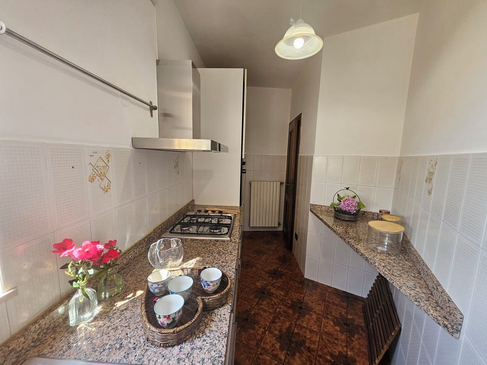 Flooring, Interior Design, Wood, Floor, Major Appliance, Countertop, Kitchen, Kitchen Appliance, Furniture, Room