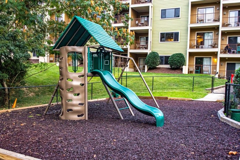 Image-15