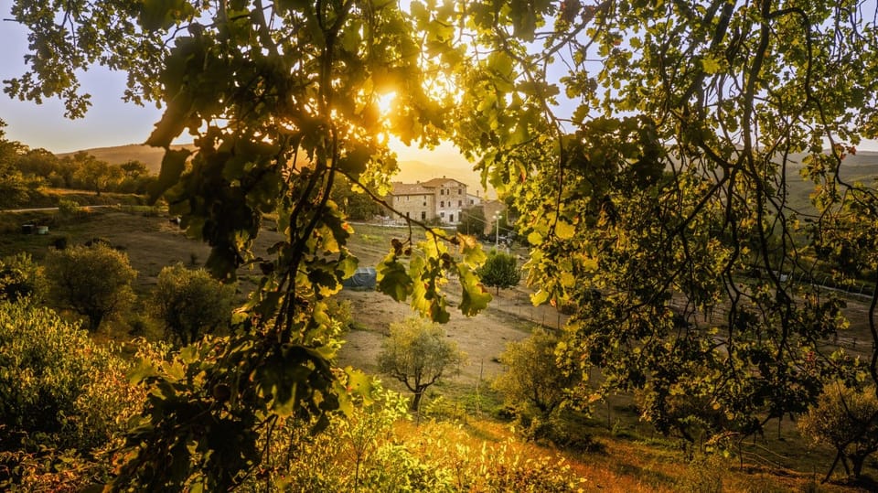382B_Agriturismo Terra Aletheia_3