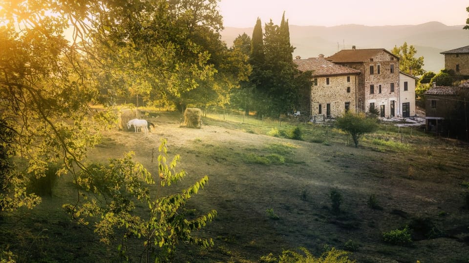 382B_Agriturismo Terra Aletheia_1