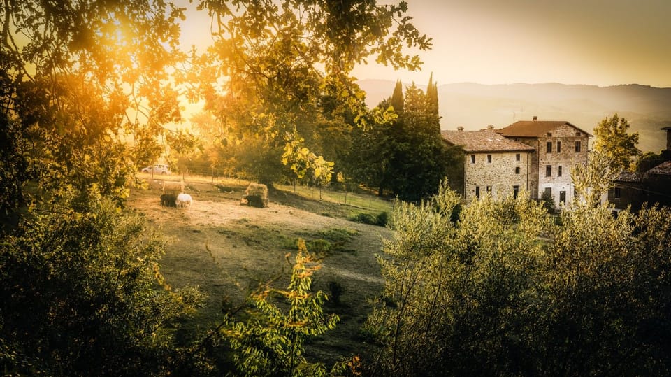 382B_Agriturismo Terra Aletheia_4