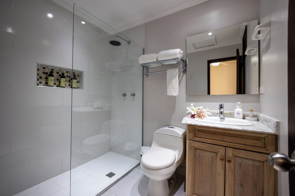 Shower, rainfall showerhead, free toiletries, hair dryer