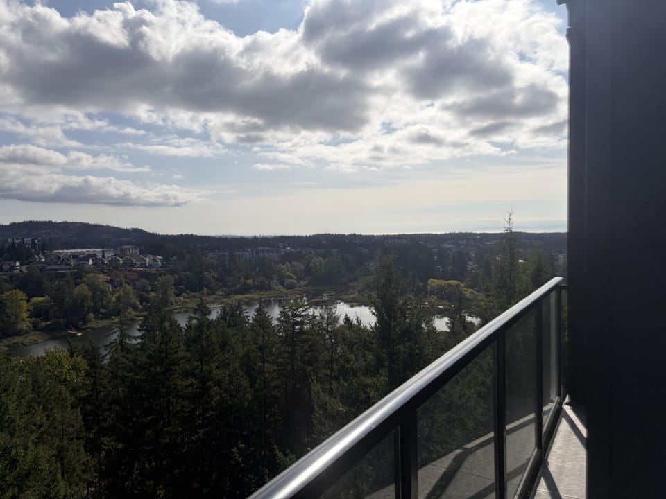 Glass balcony railing overlooks treetops, a river, and distant hills under a cloudy sky.