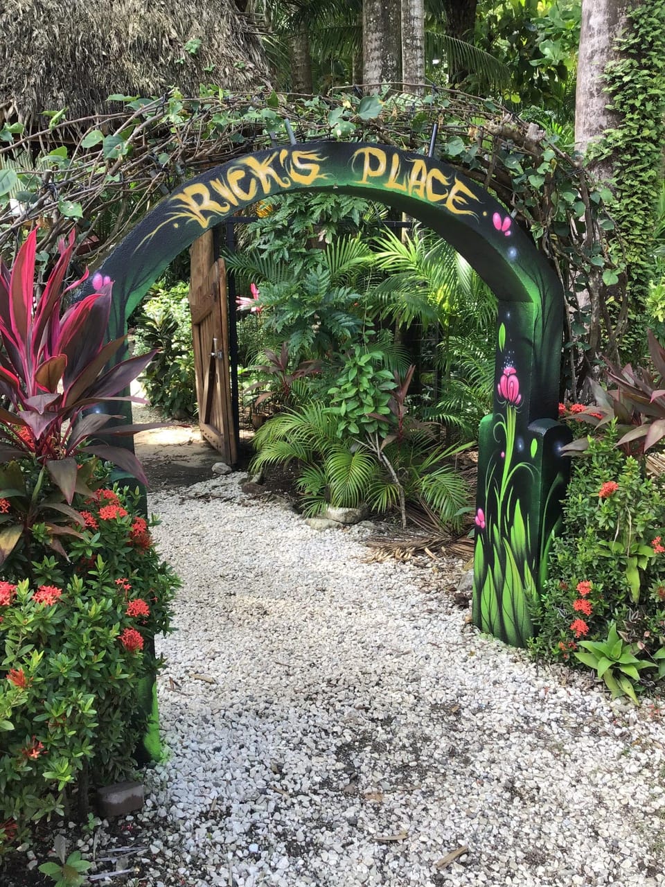 Rick's Place Hotel in Guanacaste Province