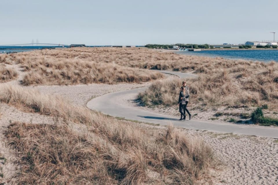 Immediate Surroundings [summer] (<1 km)