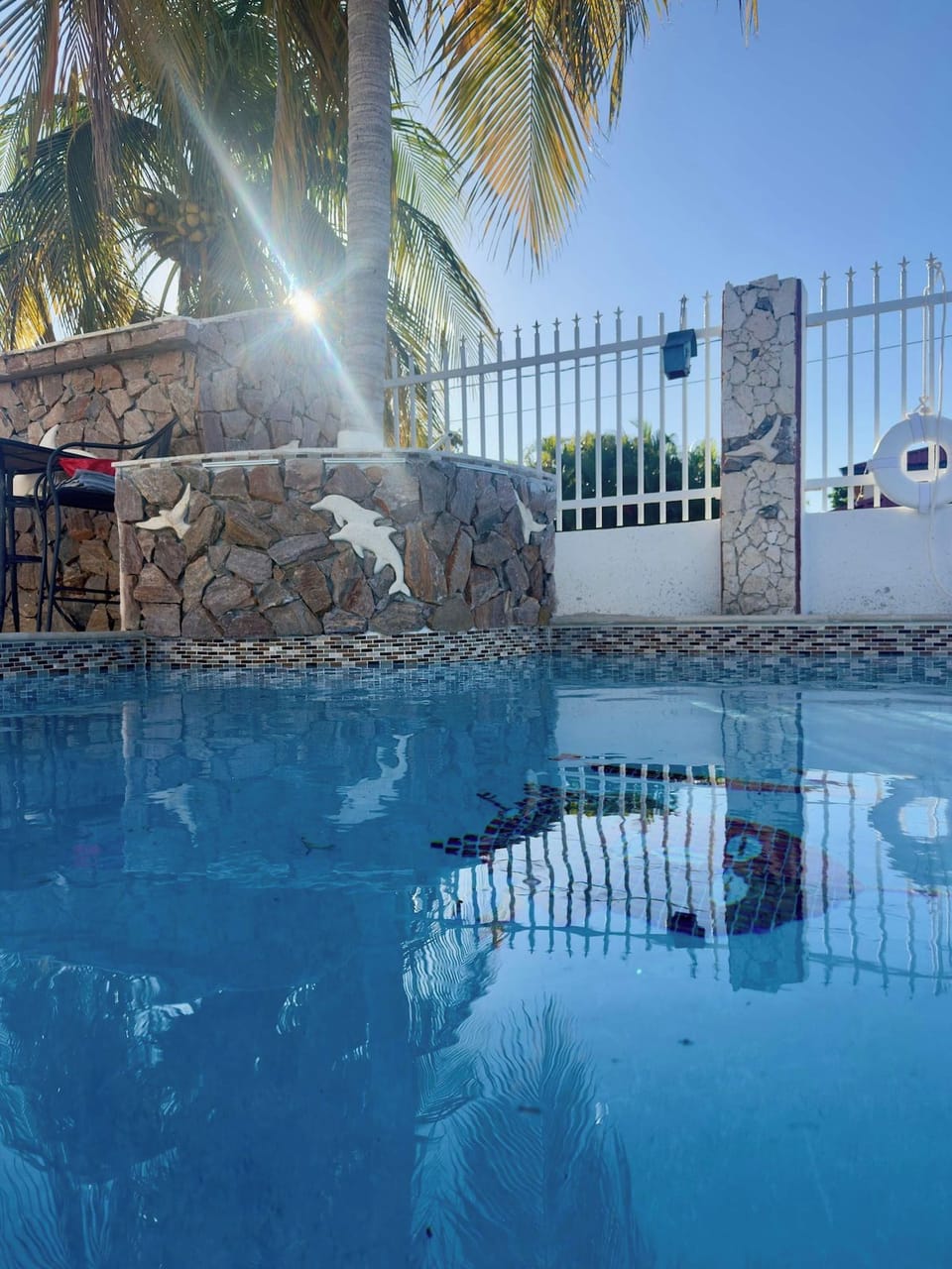 Enjoy the sparkling pool and artistic dolphin-themed stone wall under the Caribbean sun.