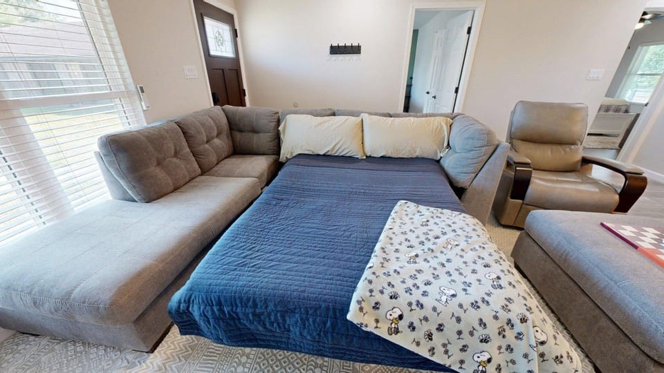 Living room full sized sofa bed