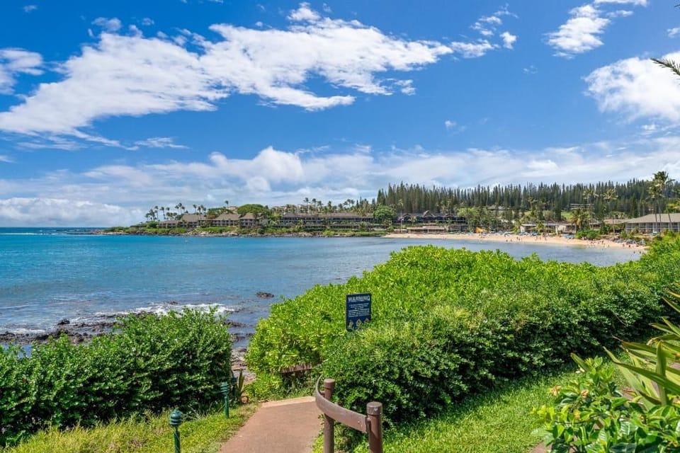 Napili Shores #d-128 1 Bedroom Condo Apartment in Kapalua