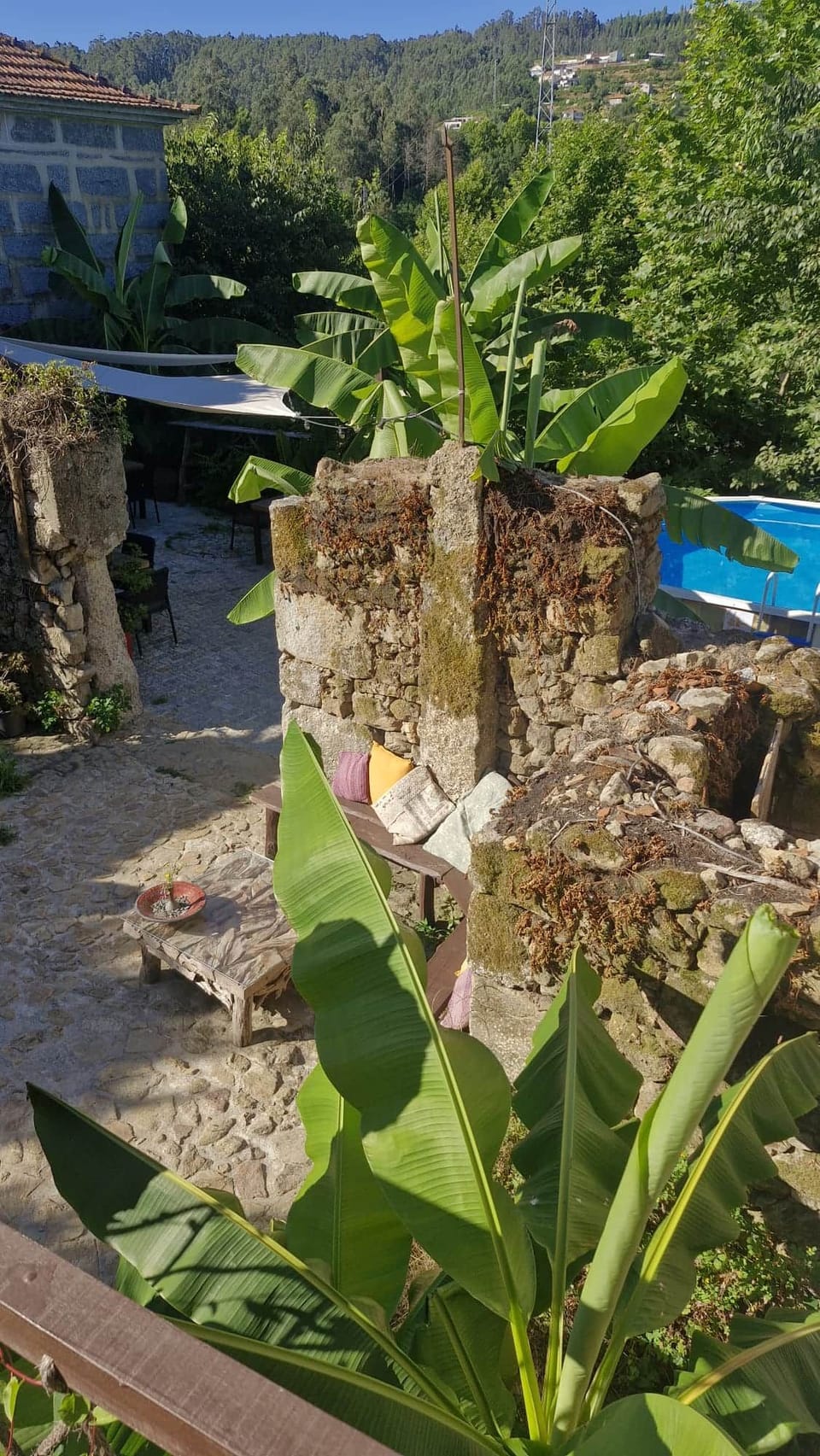 Jungle Ruine with mountain view