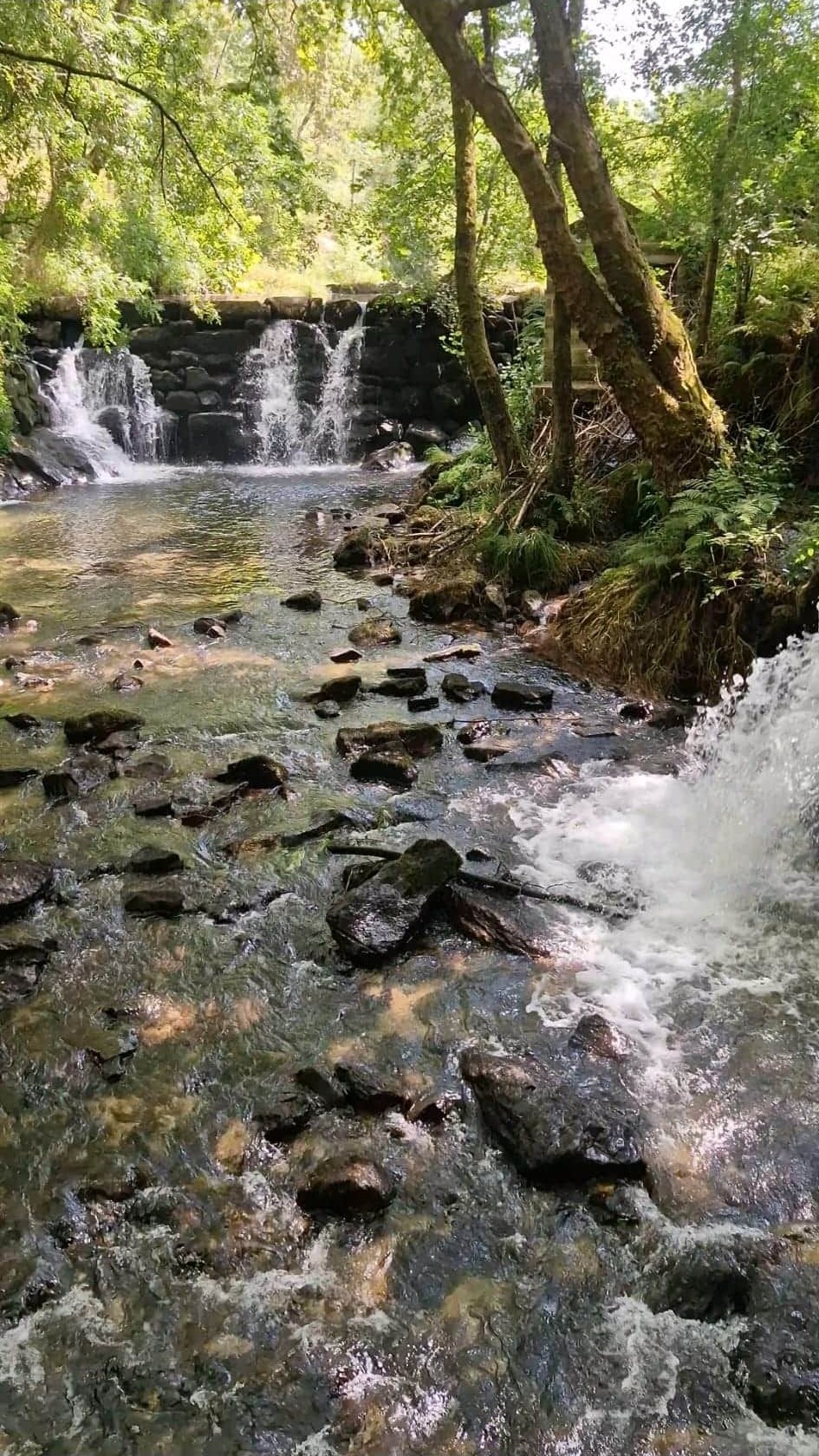Waterfalls just 1 km away