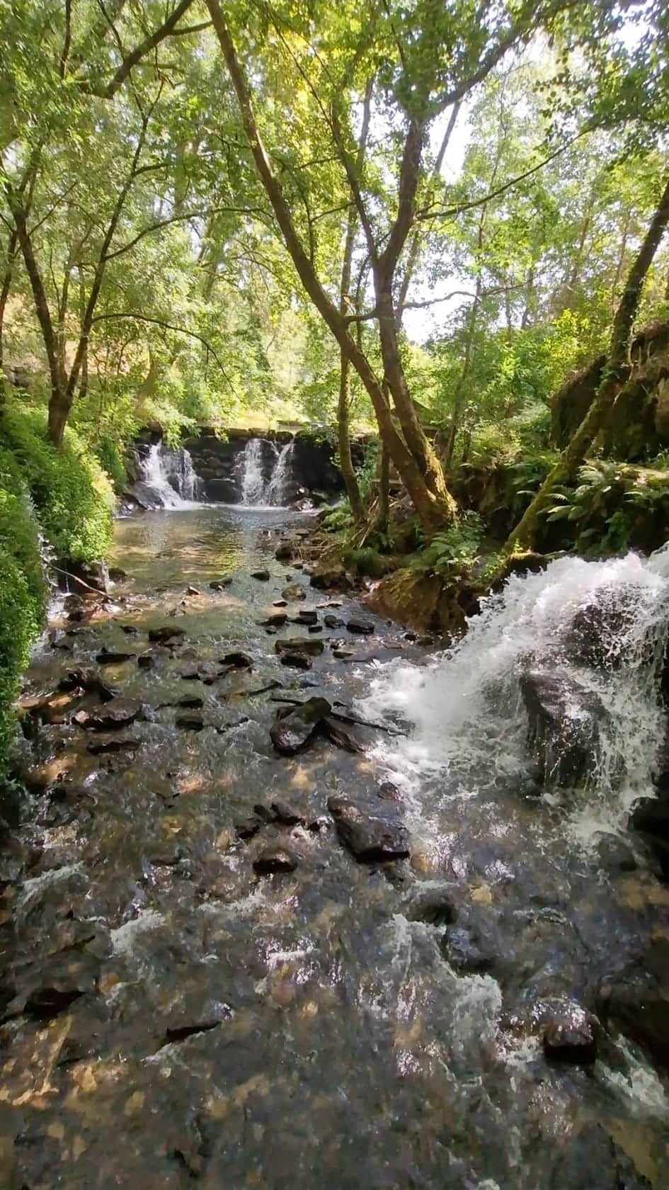 Waterfalls just 1km walk