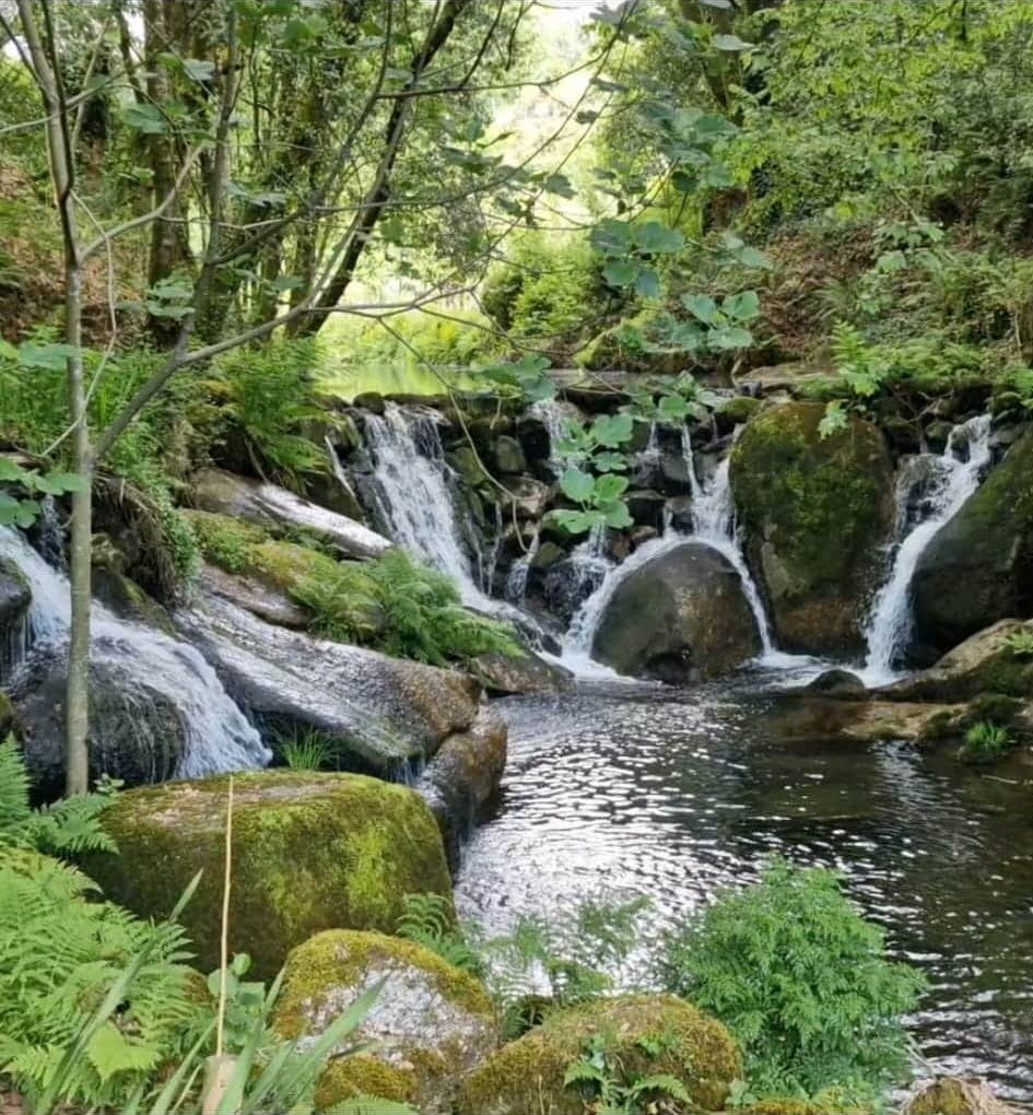 Waterfalls just 1km walk