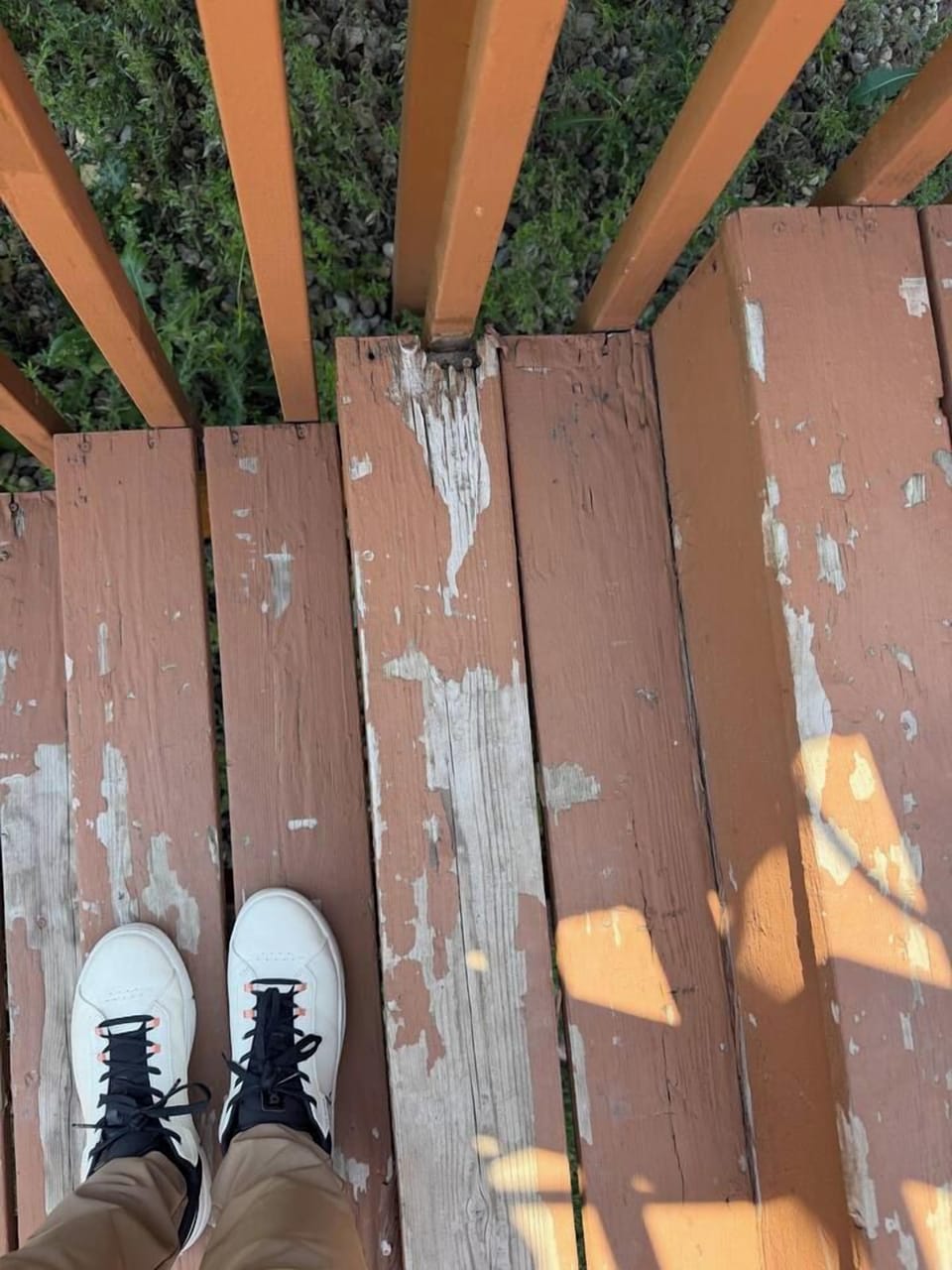 Miscellaneous