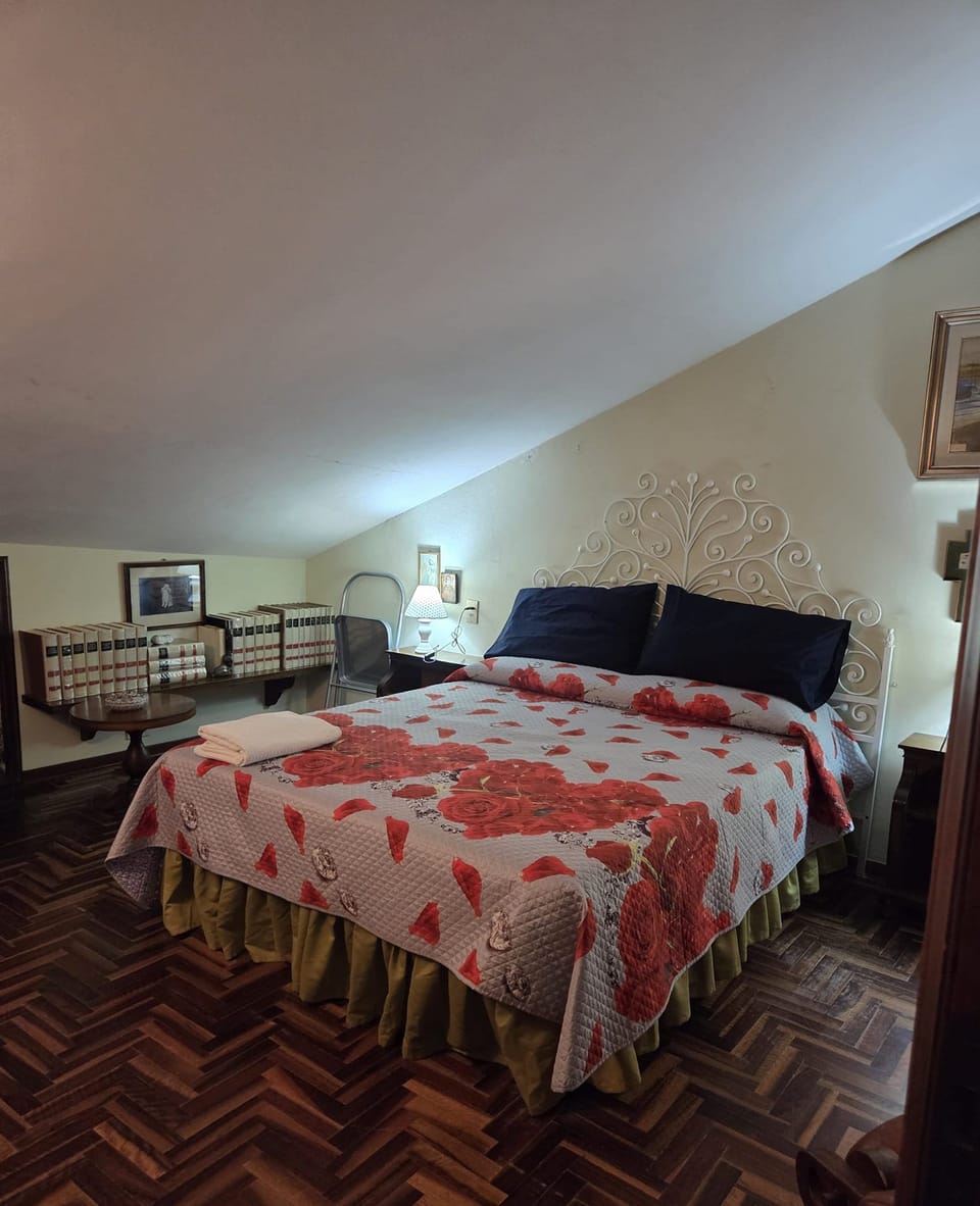 Room 'Camera Matrimoniale' with Wi-Fi and Air Conditioning Apartment in Grosseto