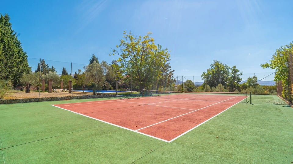 Sport court