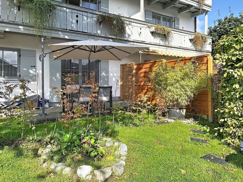 Shrub, House, Residential Area, Home, Garden, Shade, Yard, Courtyard, Flowerpot