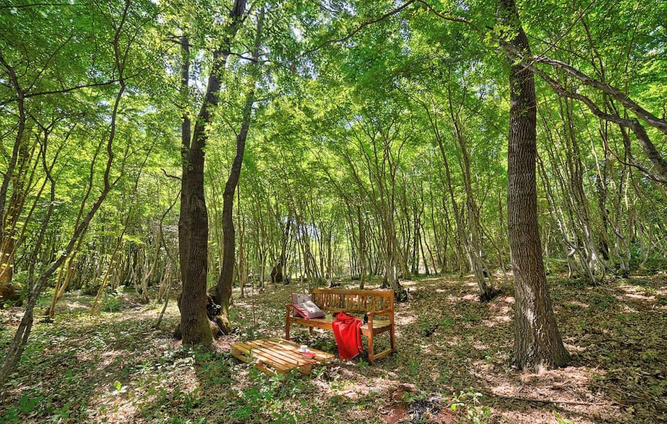 Villa Martin a family countryside & spa retreat Villa in Istria County