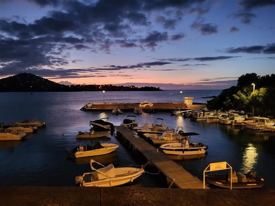 Marina