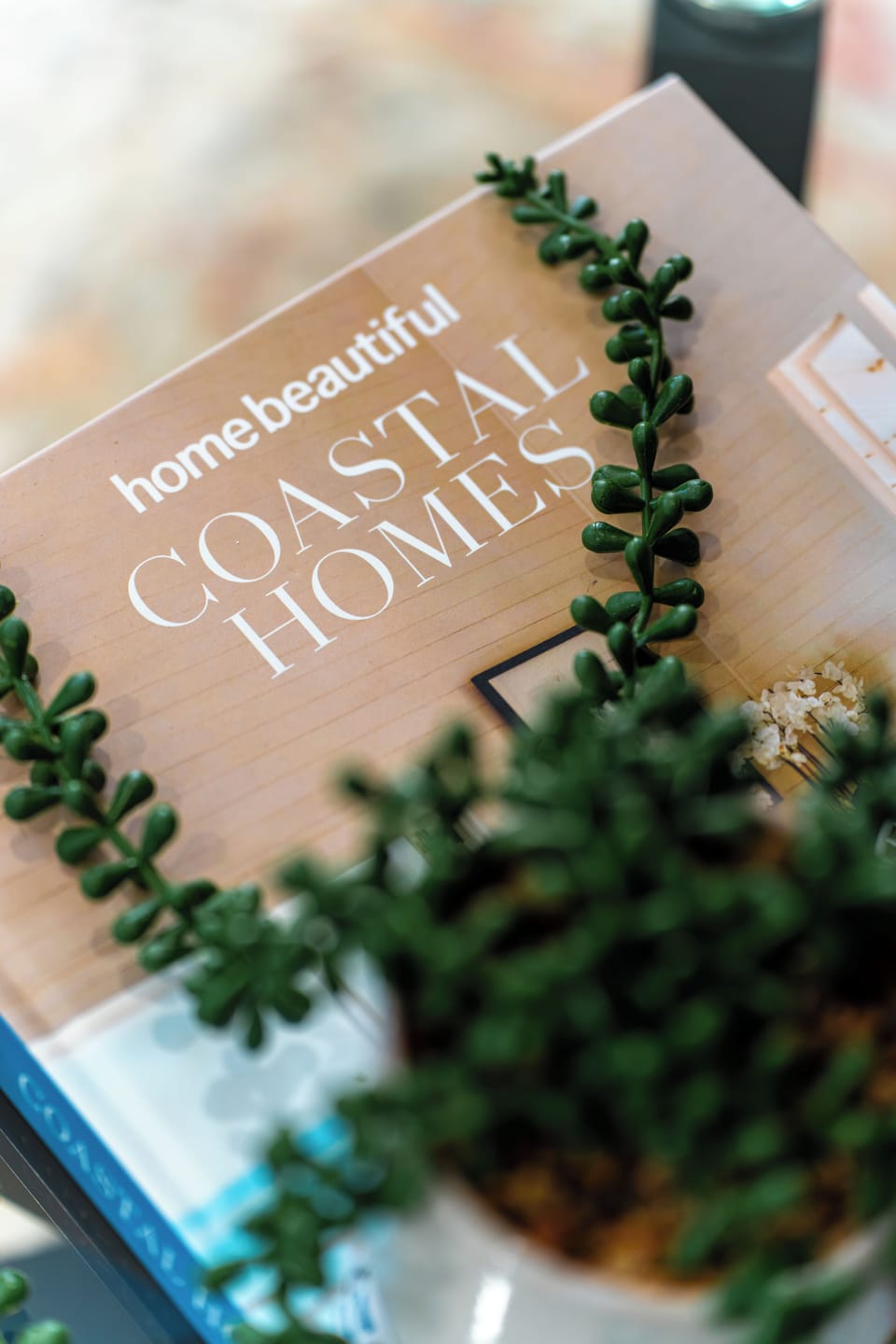Styled coastal decor details with fresh greenery and a welcoming vibe