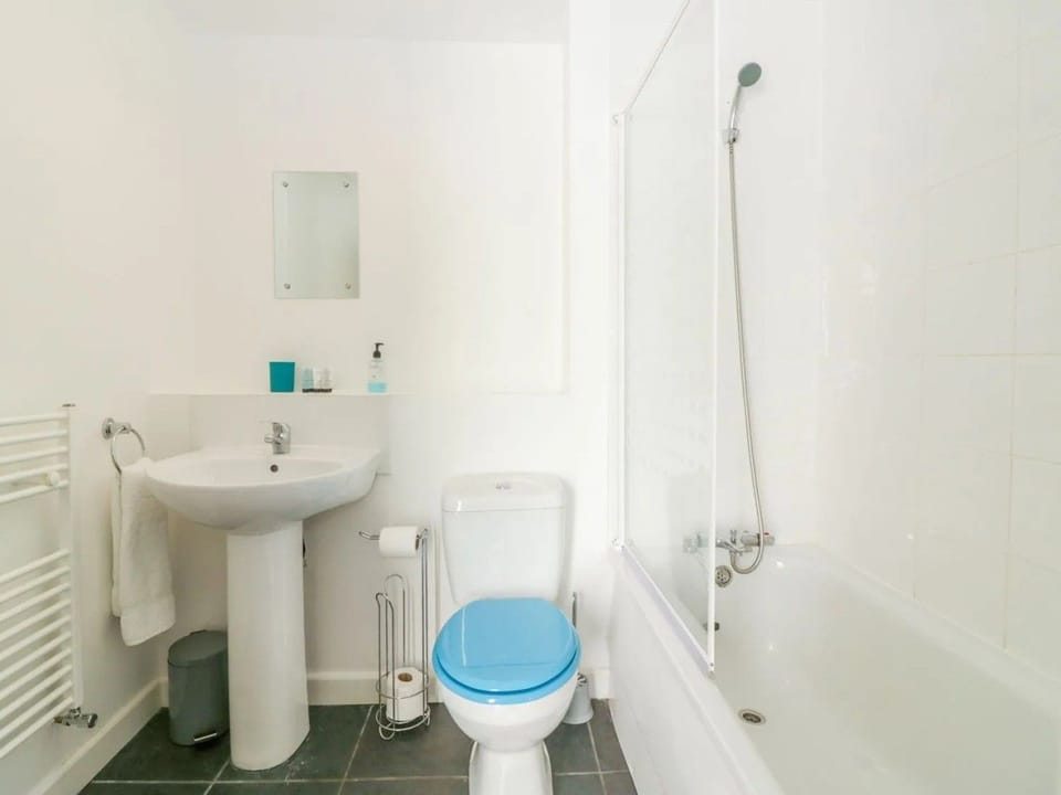 Broadsands Cottage Bathroom