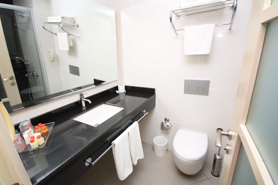 Standard Room | Bathroom | Shower, free toiletries, hair dryer, towels