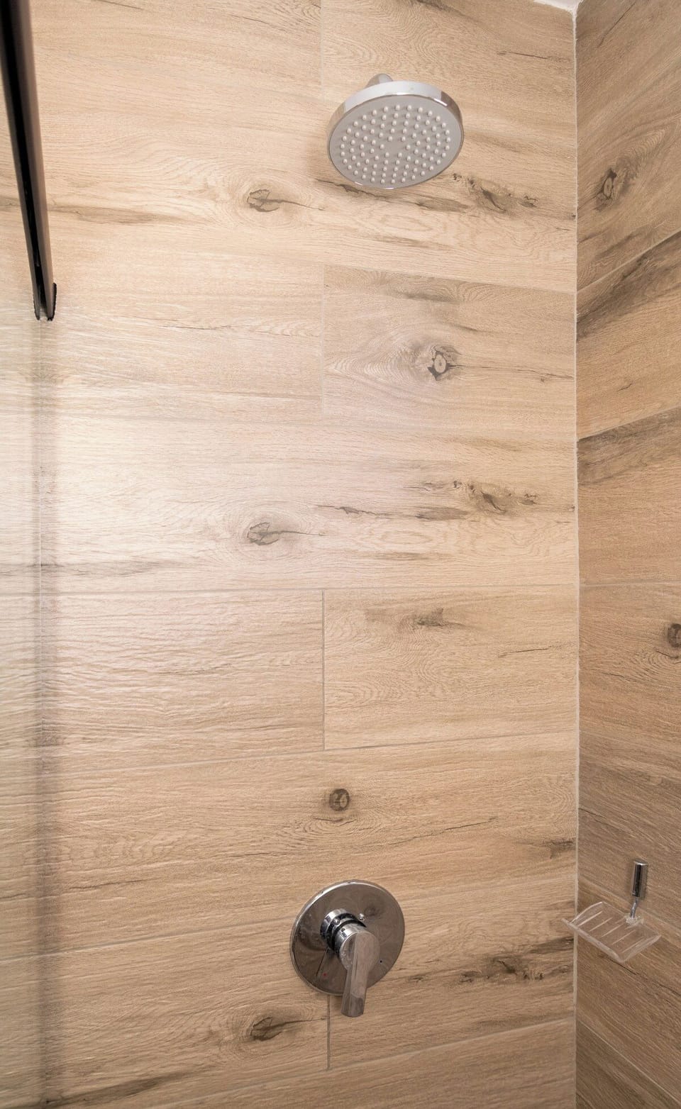 Walk-in shower with rain showerhead