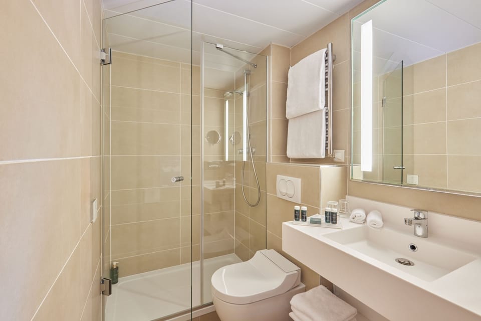 Suite | Bathroom | Free toiletries, hair dryer, slippers, towels