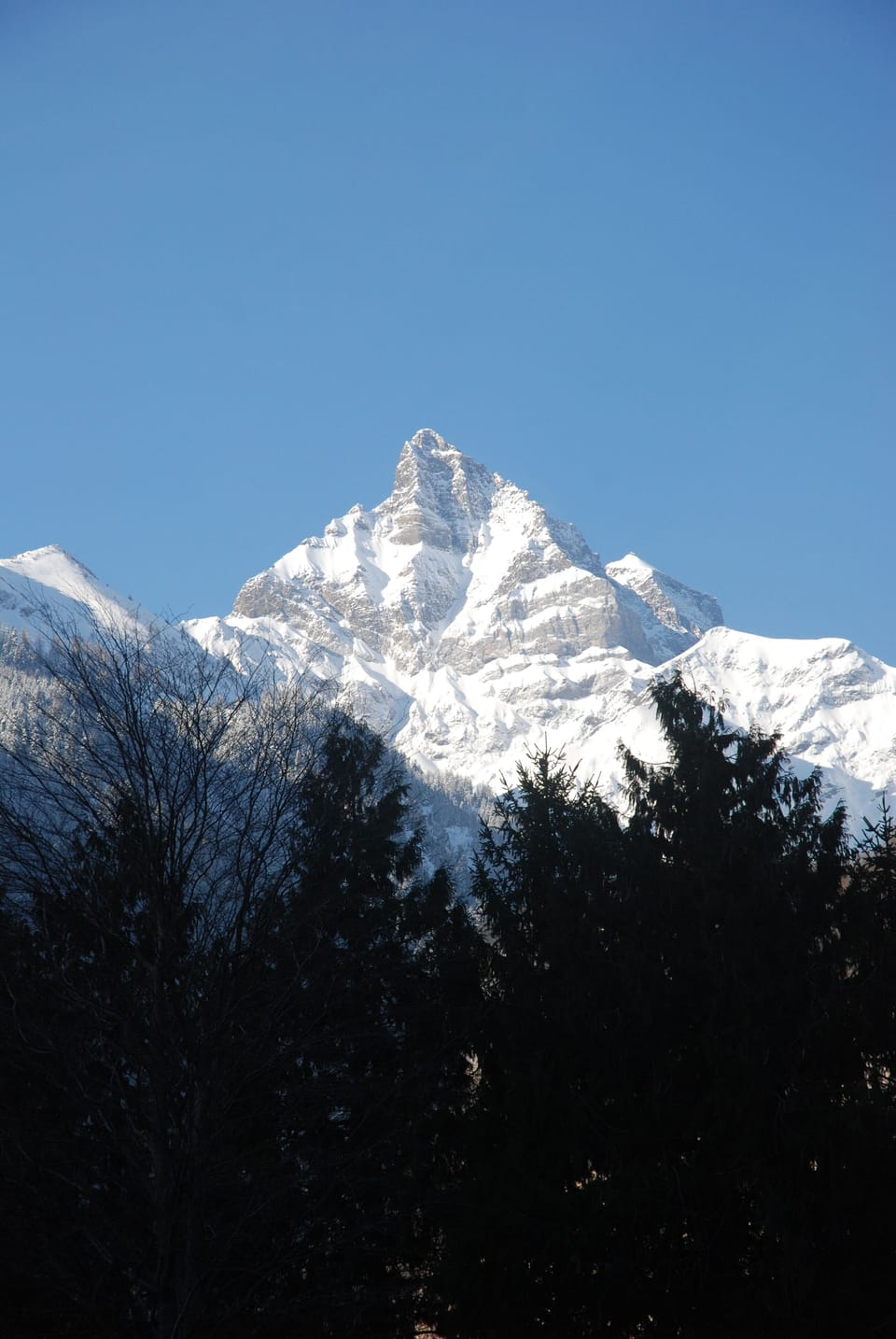 Mountain view