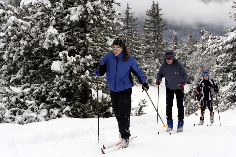 Cross-country skiers on a track through snowy woodland