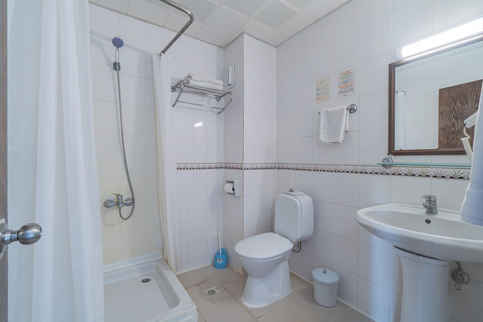 Standard Room | Bathroom | Hair dryer, towels