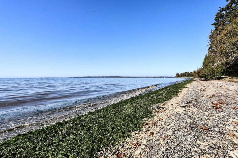 Beach below the house by stairs on the property
