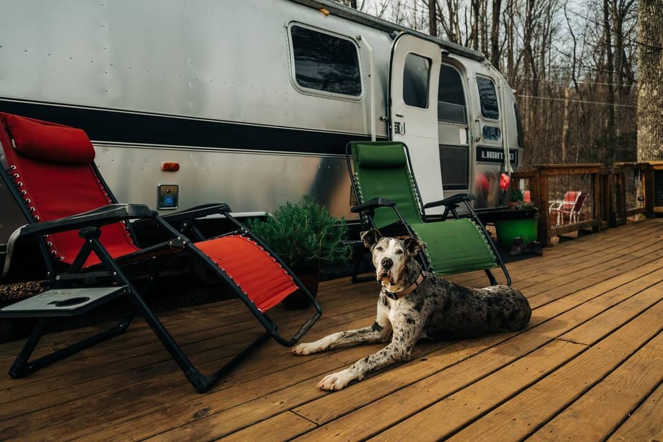 Pet-friendly
