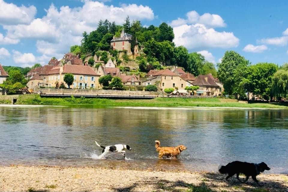 Donkey, Bryn and Maerdy cool off at Limeuil, where La Vezére meets La Dordogne. It's a lovely place to swim or rent a canoe for the day.