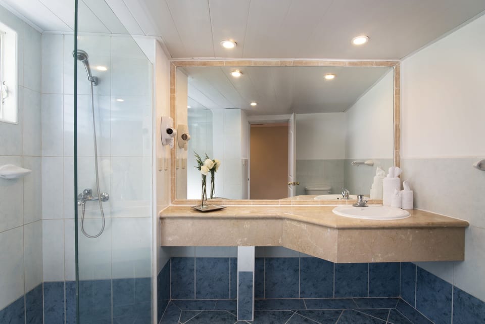 Shower, free toiletries, hair dryer, towels