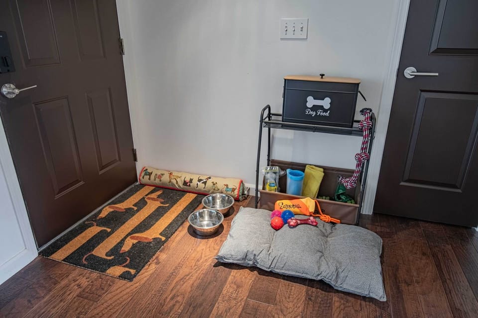 The Dog Station for furry friends: toys, bed, treats