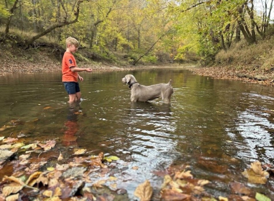 Pet-friendly