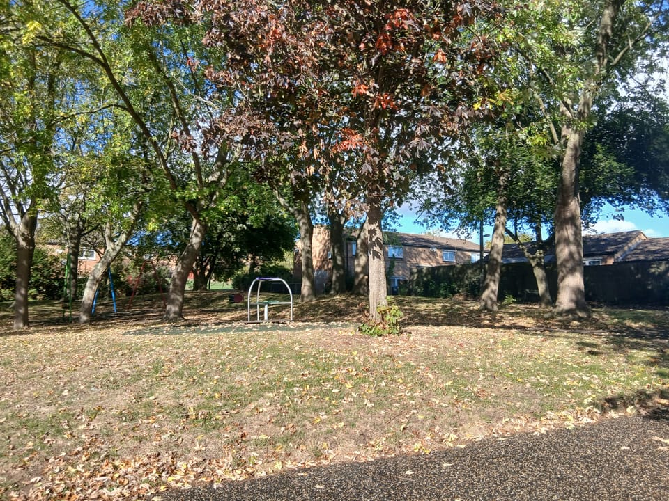 Children's area