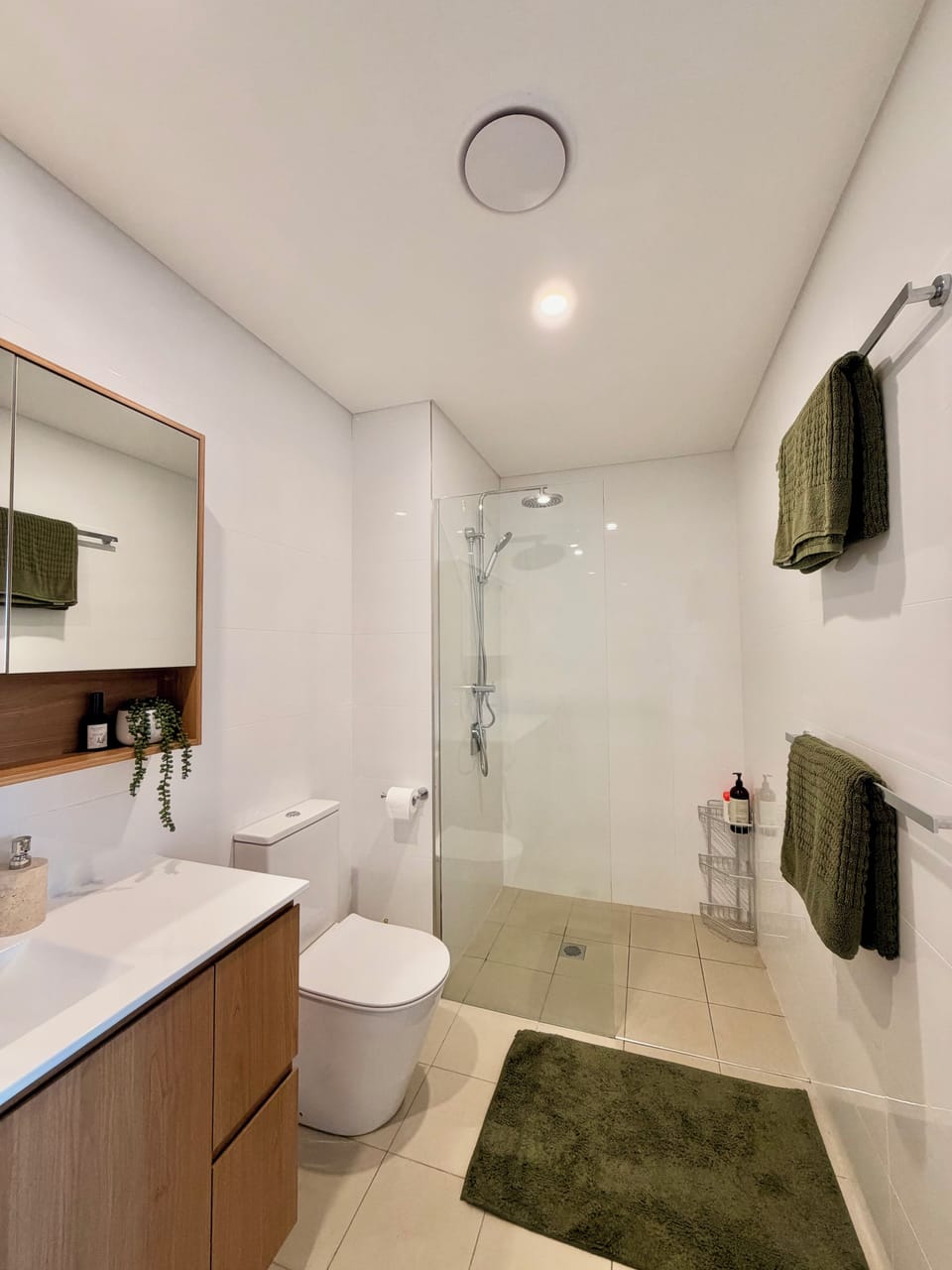 Ensuite bathroom with walk-in glass shower and sleek vanity