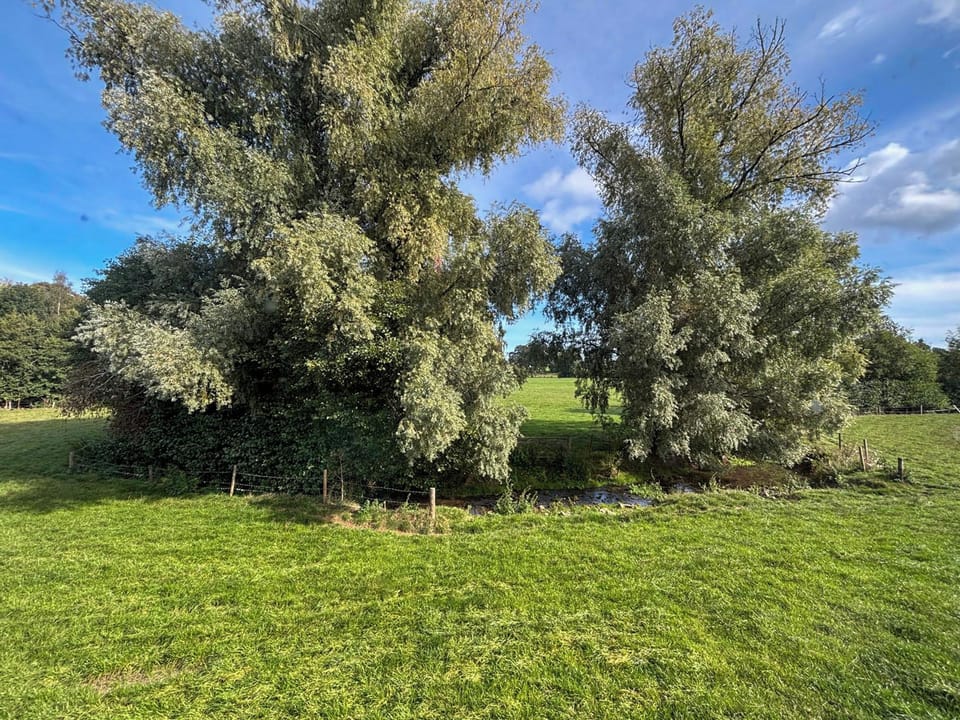 Garden | Keepers Rest, Church Stretton