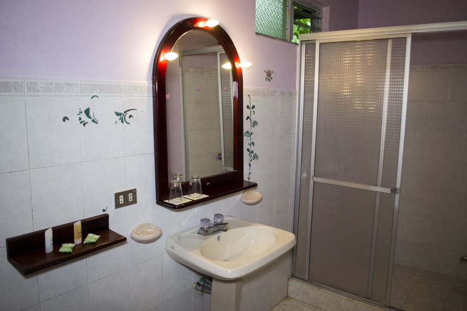 Double Room | Bathroom | Shower, free toiletries, towels