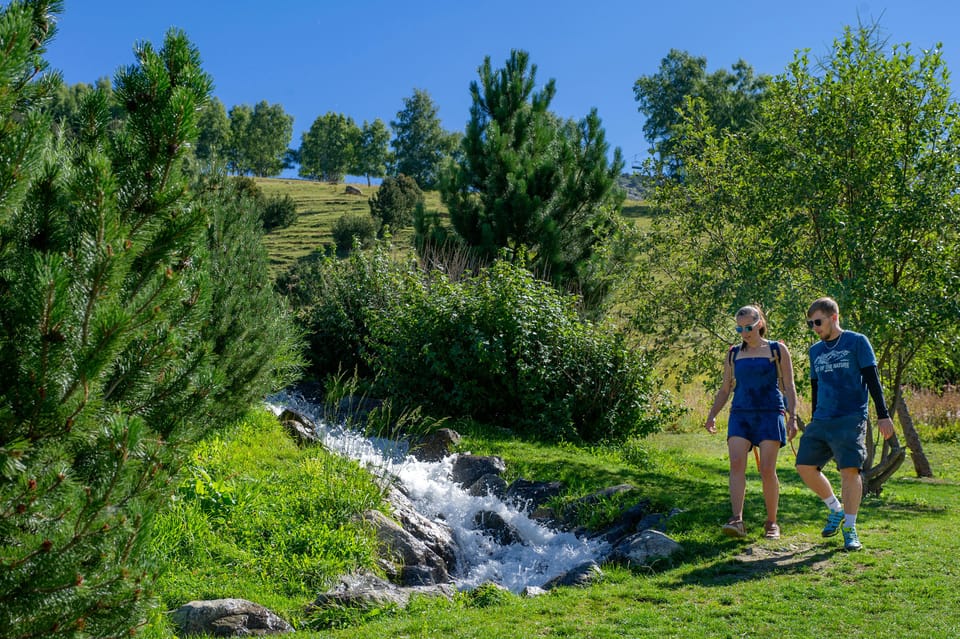 Walk alongside a flowing stream through the green valley in summer.