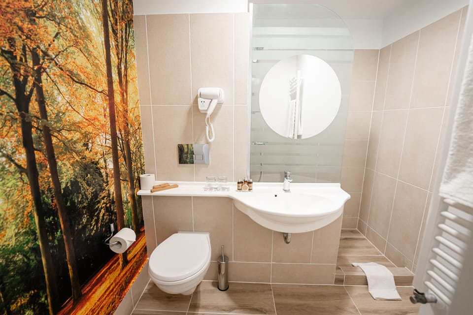 Superior Double Room | Bathroom | Combined shower/tub, rainfall showerhead, free toiletries, hair dryer