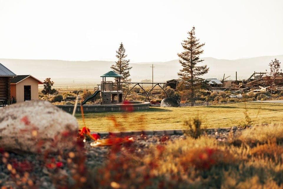 Playground and grounds