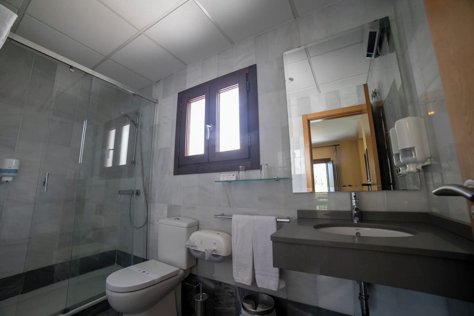 Hair dryer, bidet, towels, soap