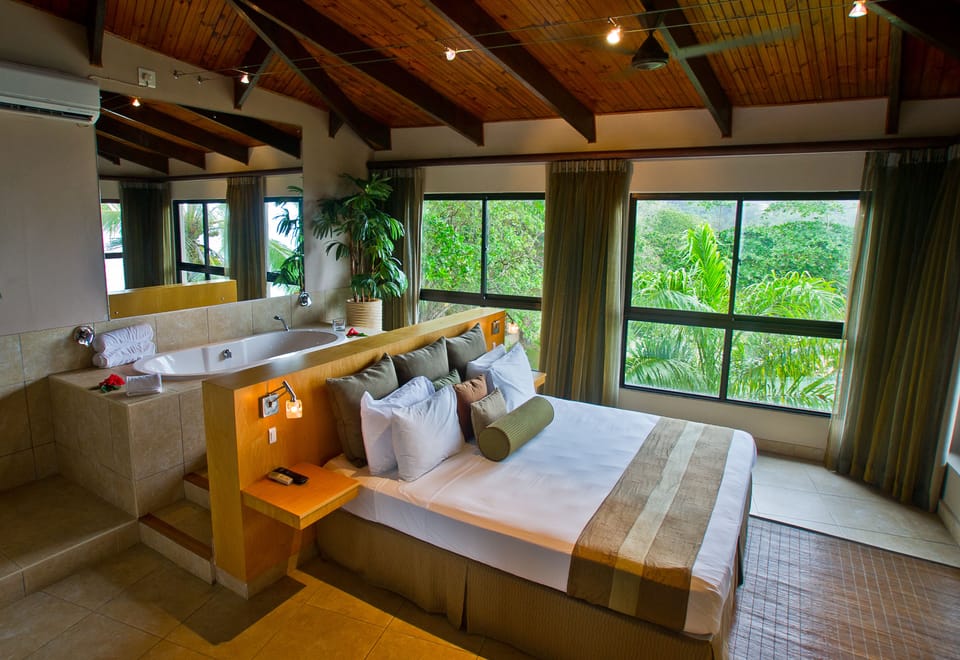 Junior Studio Suite | Living room | 41-cm LCD TV with satellite channels, TV, books