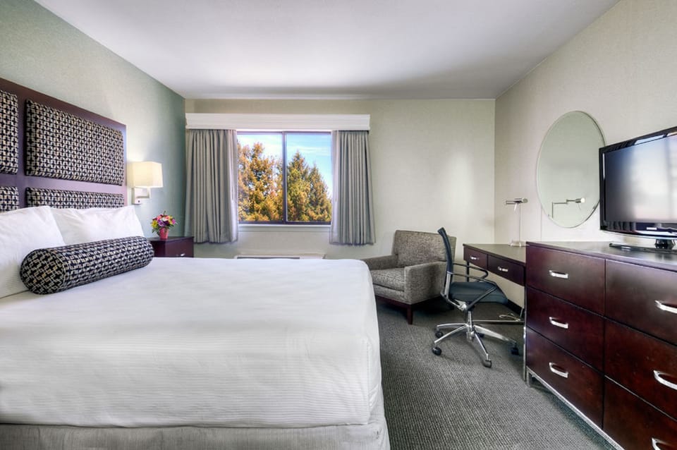 Premium bedding, in-room safe, desk, blackout drapes
