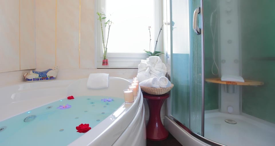 Shower, hair dryer, towels