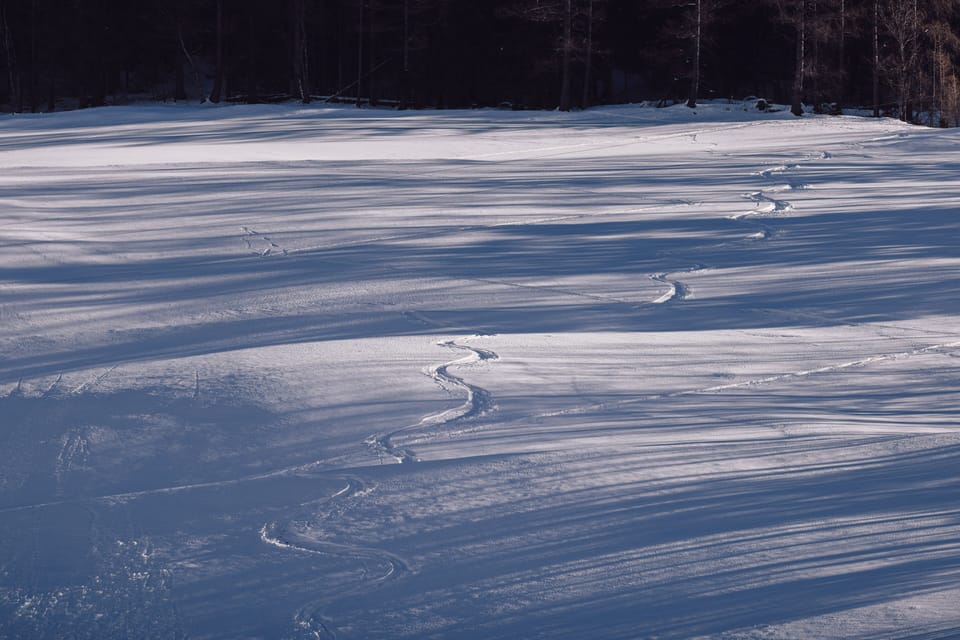 Skiing