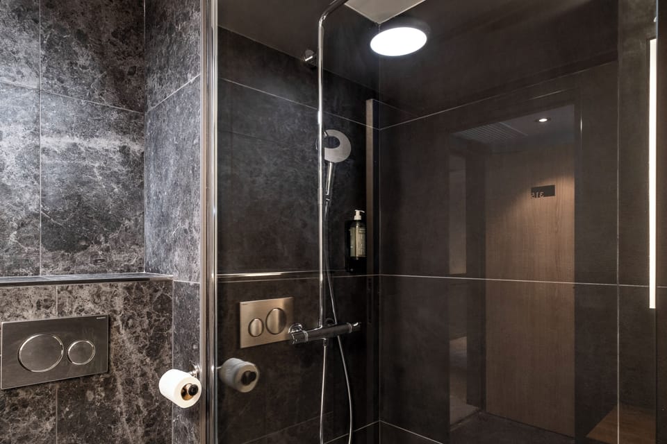 Hydromassage showerhead, hair dryer, towels